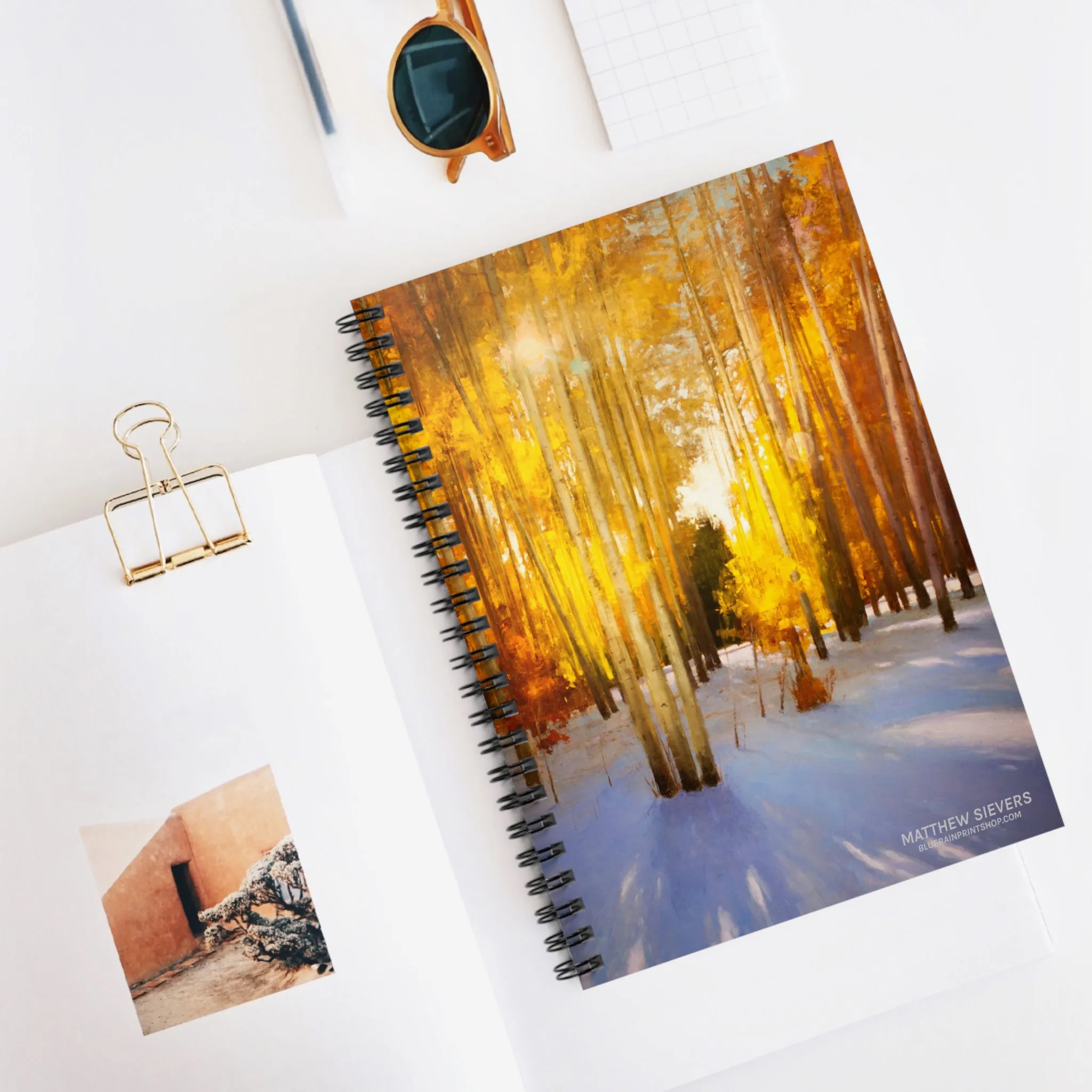 Aspen Shadows Notebook