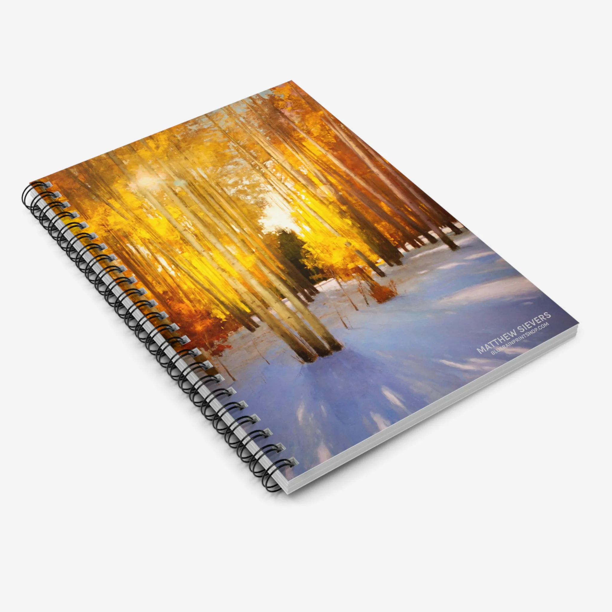 Aspen Shadows Notebook