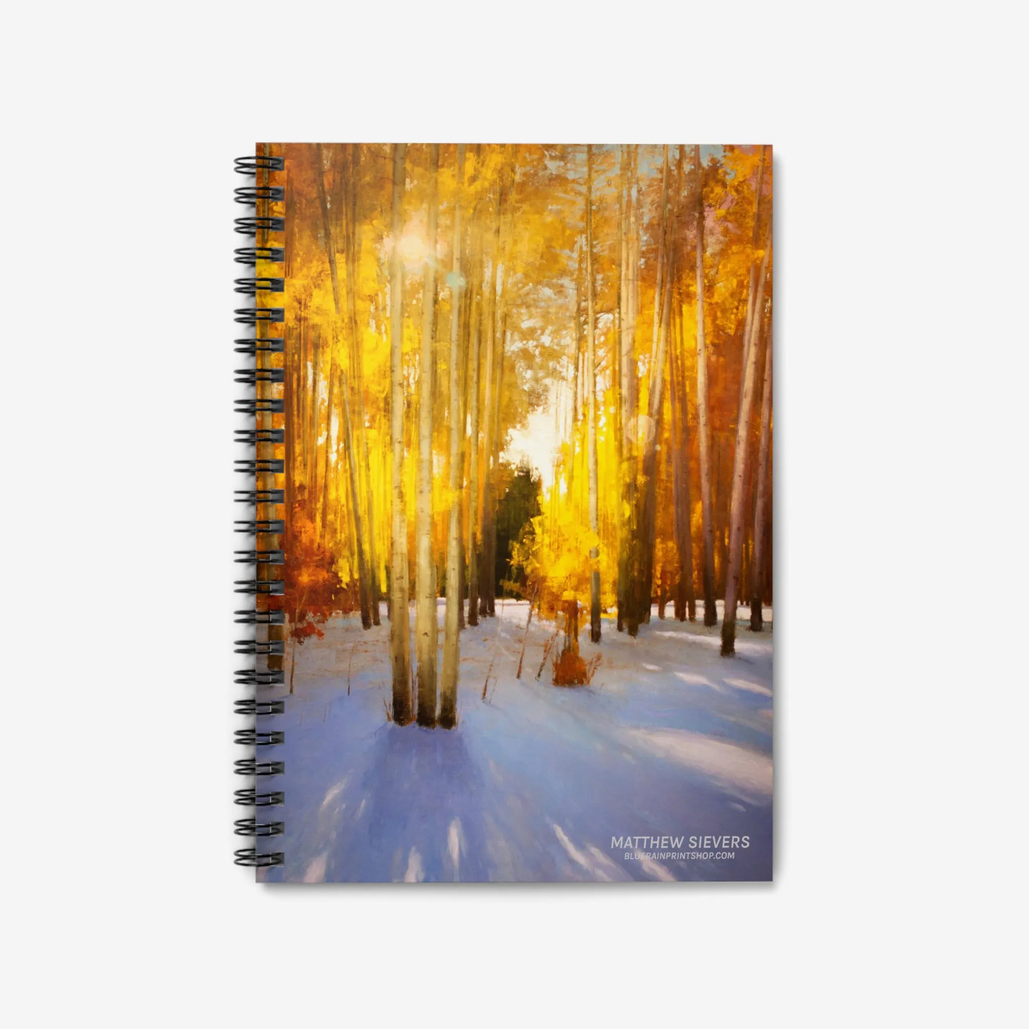 Aspen Shadows Notebook