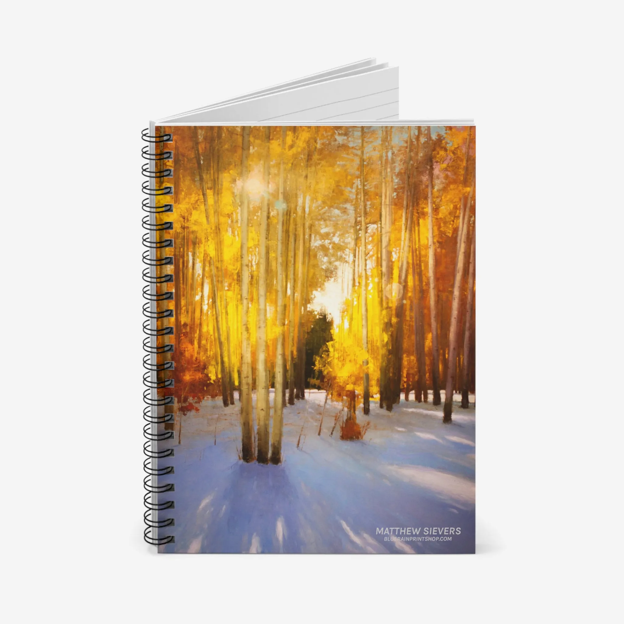 Aspen Shadows Notebook
