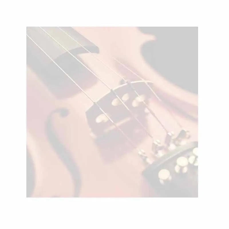 Violin Sticky Notes